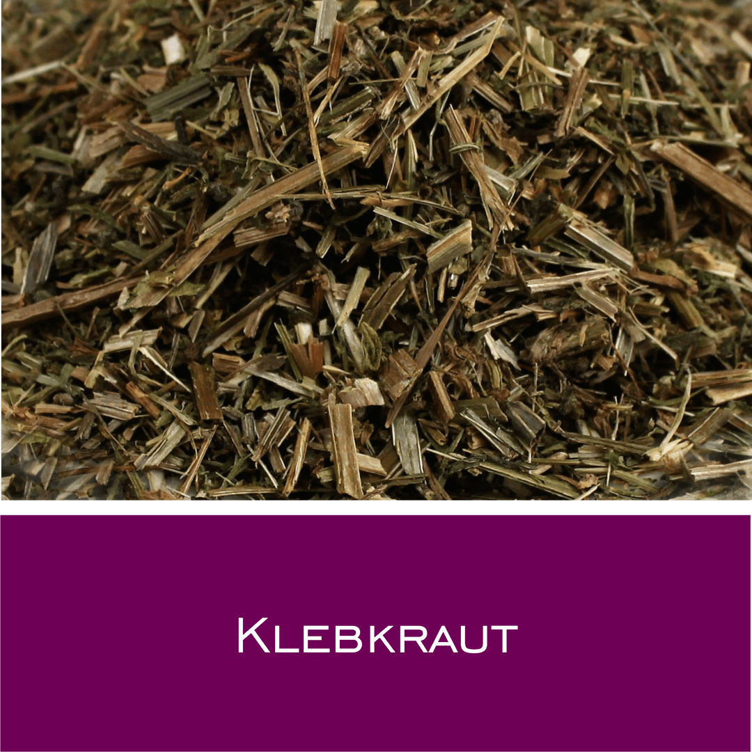 Klebkraut - HorseHealthEssentials