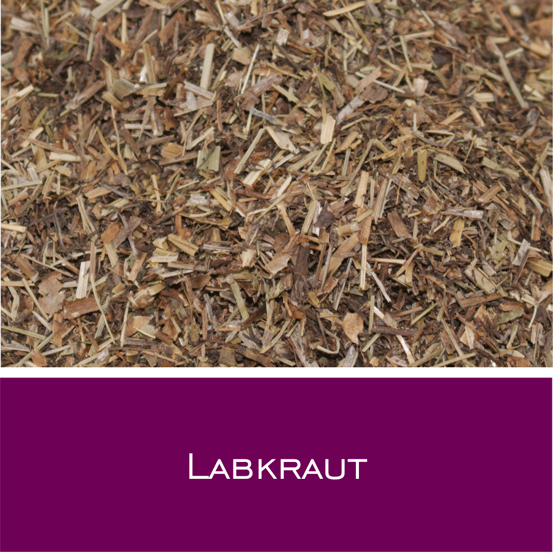 Labkraut - HorseHealthEssentials