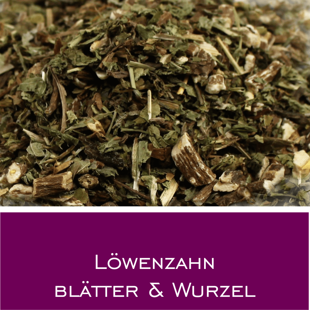 Löwenzahnkraut mit Wurzel - HorseHealthEssentials
