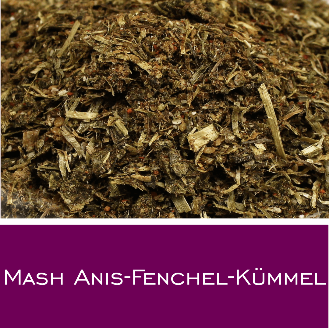 Mash Anis - Fenchel - Kümmel - HorseHealthEssentials