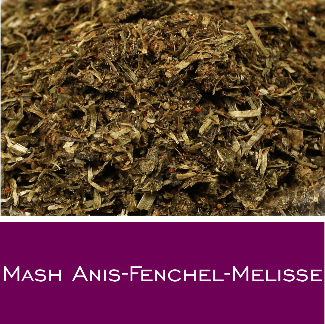 Mash Anis - Fenchel - Melisse - HorseHealthEssentials