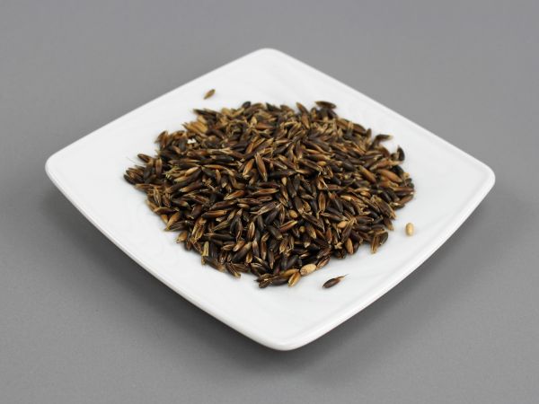 Schwarzhafer - HorseHealthEssentials