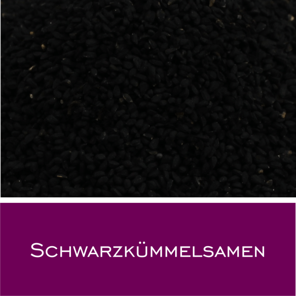 Schwarzkümmelsamen (Agyptisch