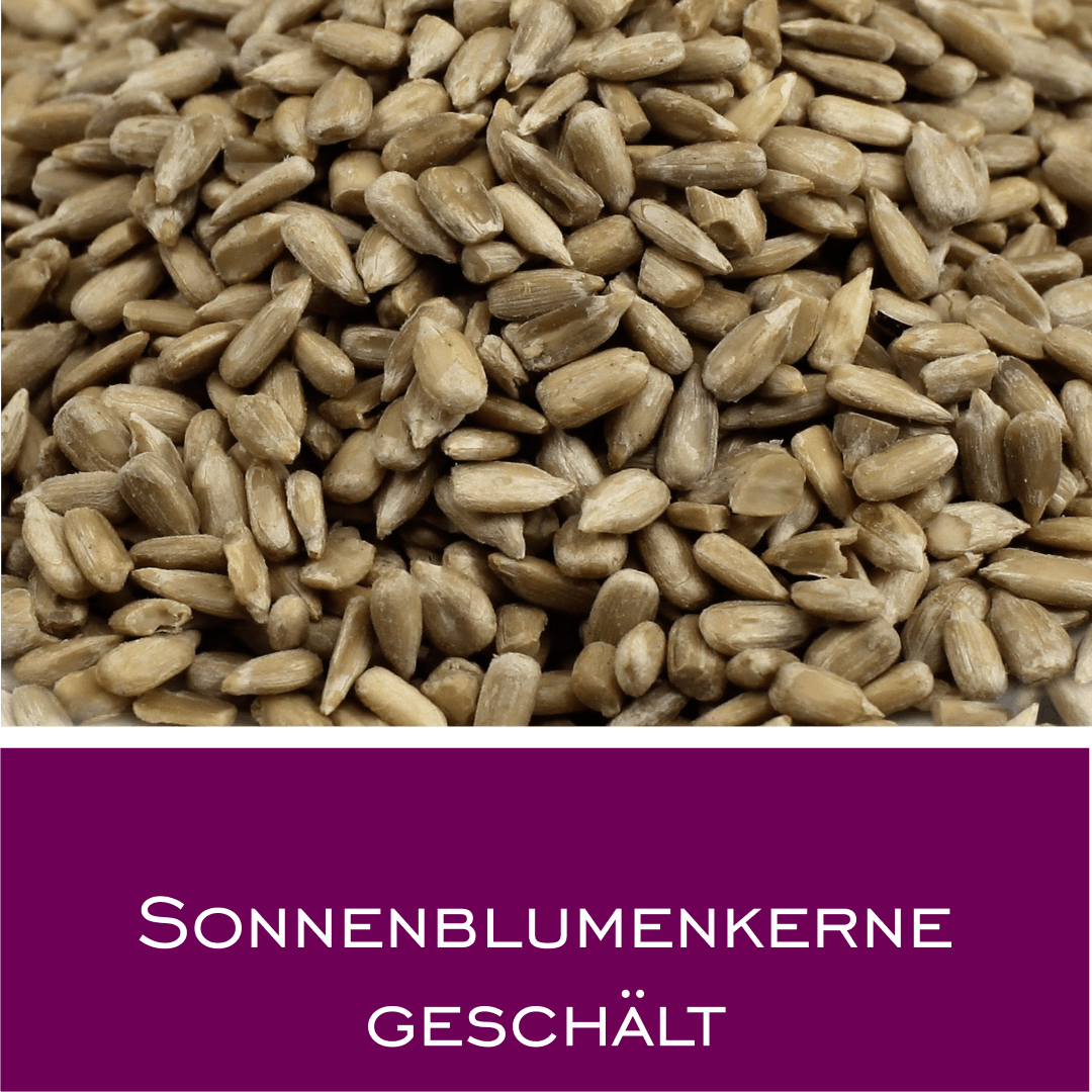 Sonnenblumenkerne geschält - HorseHealthEssentials