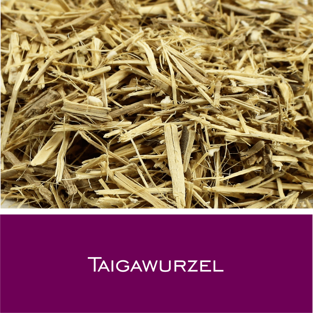 Taigawurzel PH - HorseHealthEssentials