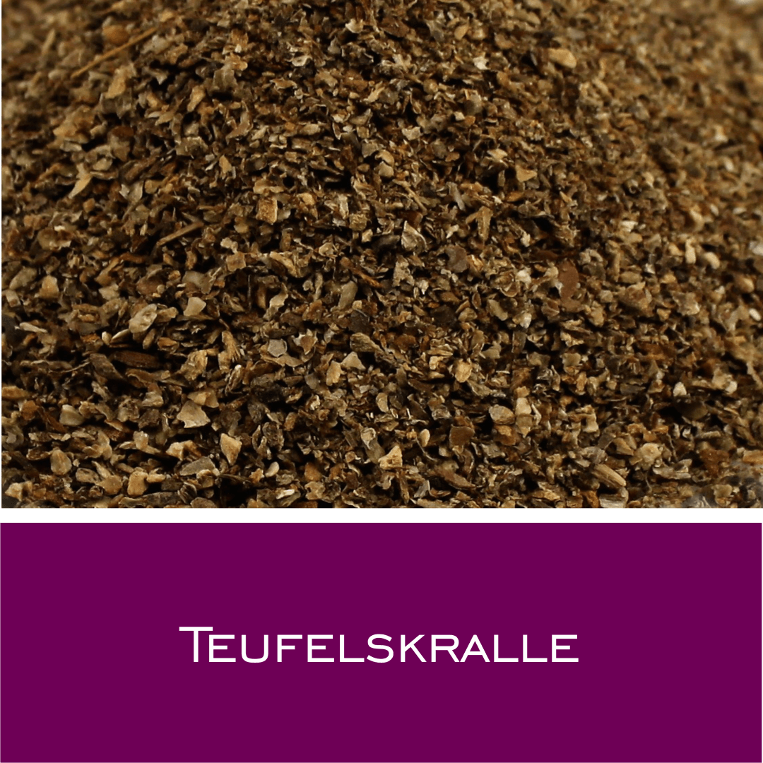 Teufelskralle - HorseHealthEssentials