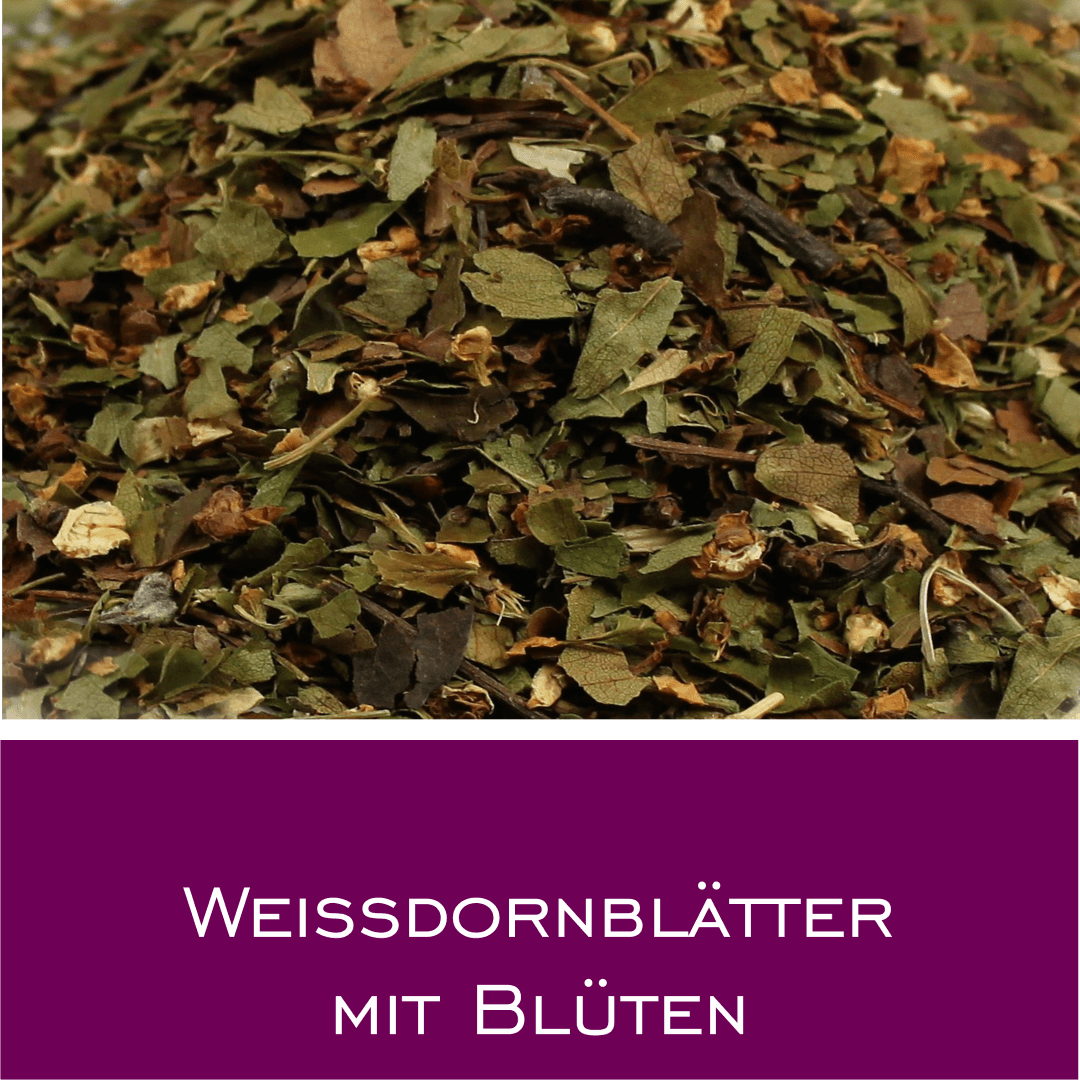 Weißdornblätter mit Blüten