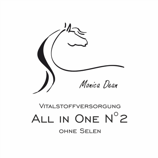 All in One N°2 - HorseHealthEssentials