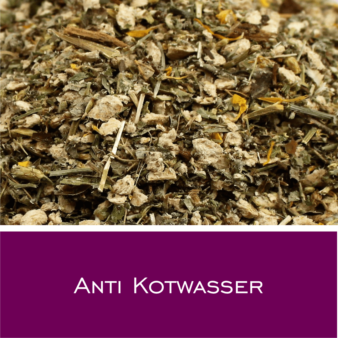 Anti Kotwasser - HorseHealthEssentials