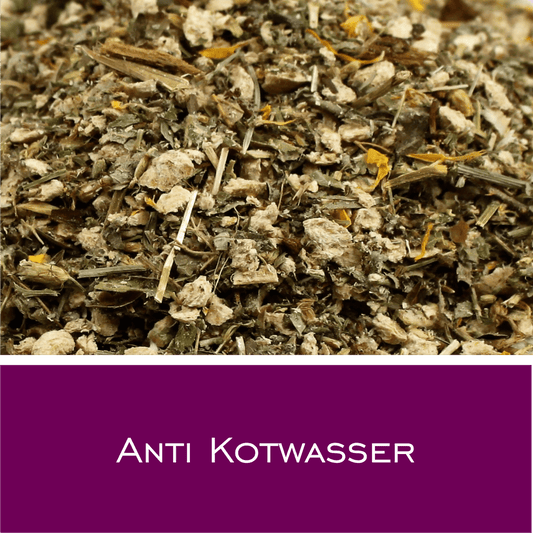 Anti Kotwasser - HorseHealthEssentials