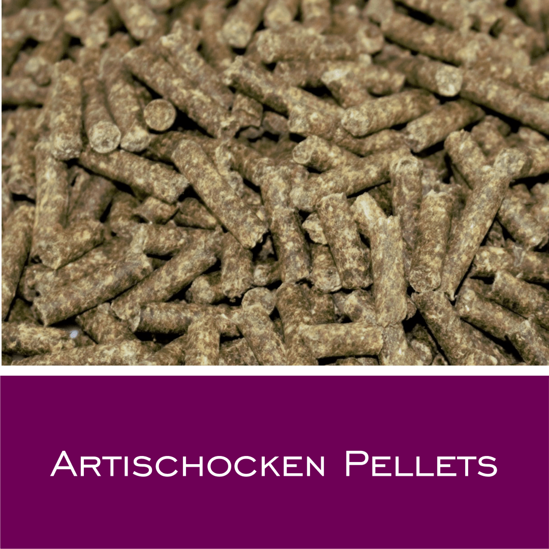 Artischocken Pellets - HorseHealthEssentials