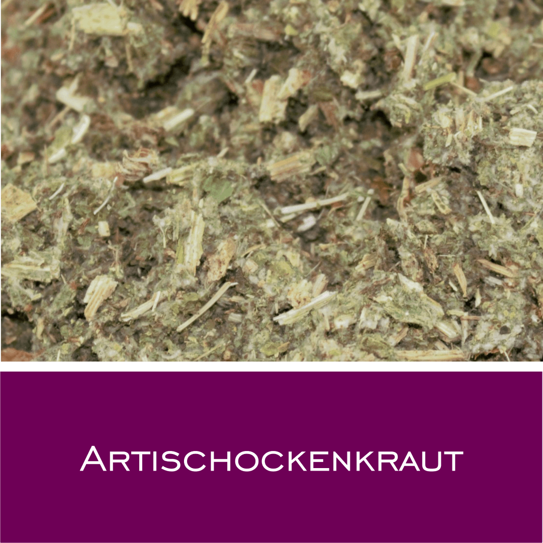 Artischockenkraut - HorseHealthEssentials