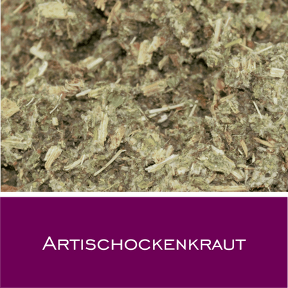 Artischockenkraut - HorseHealthEssentials