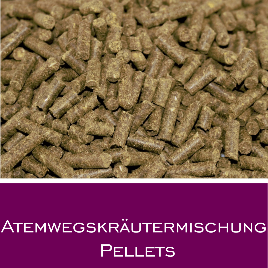 Atemwegskräutermischung Pellets - HorseHealthEssentials