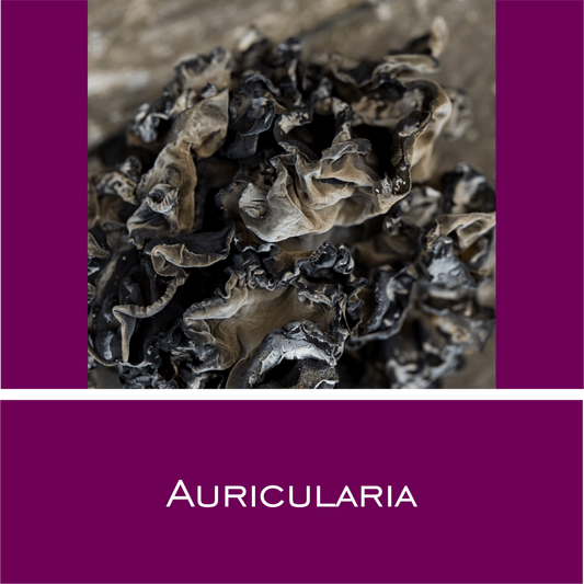 Auricularia - HorseHealthEssentials