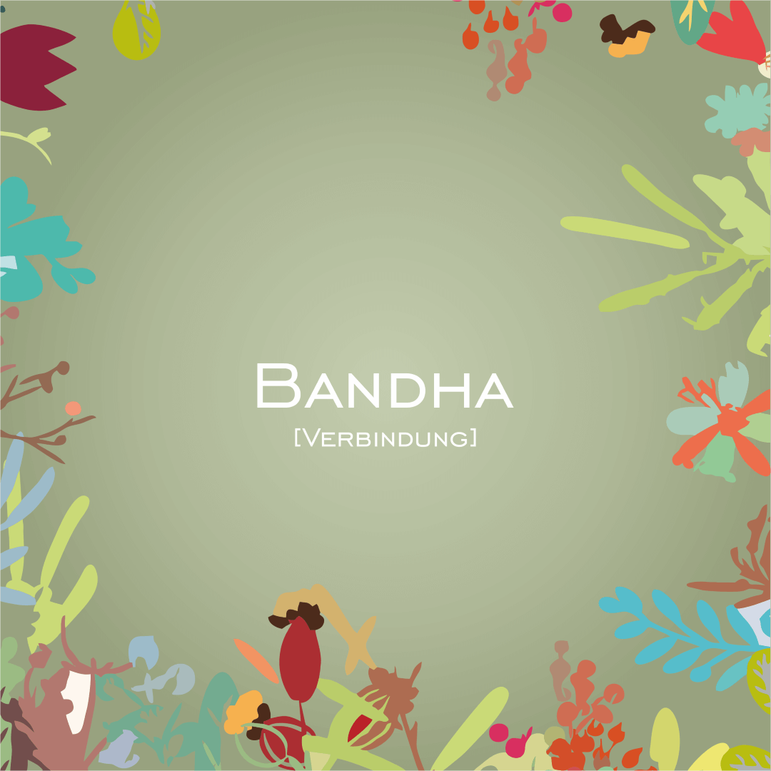 Bandha [Verbindung] - HorseHealthEssentials