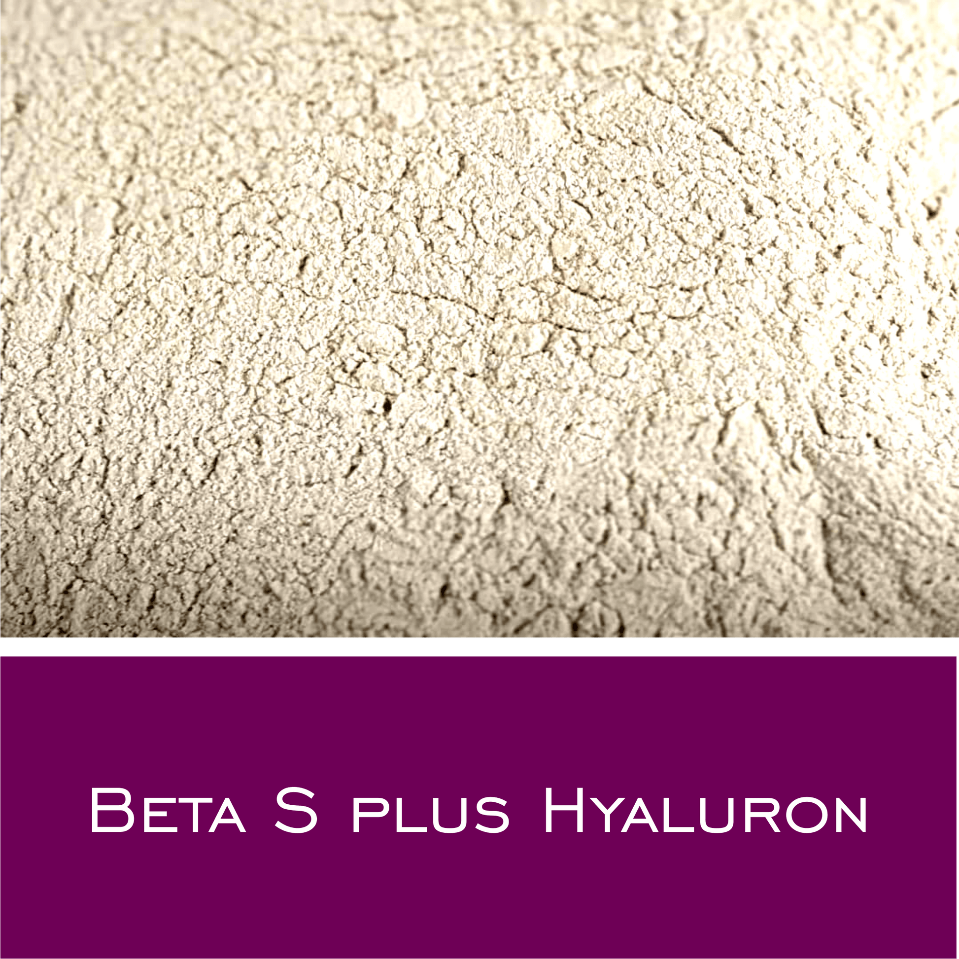 Beta-S von mit Hyaluron - HorseHealthEssentials