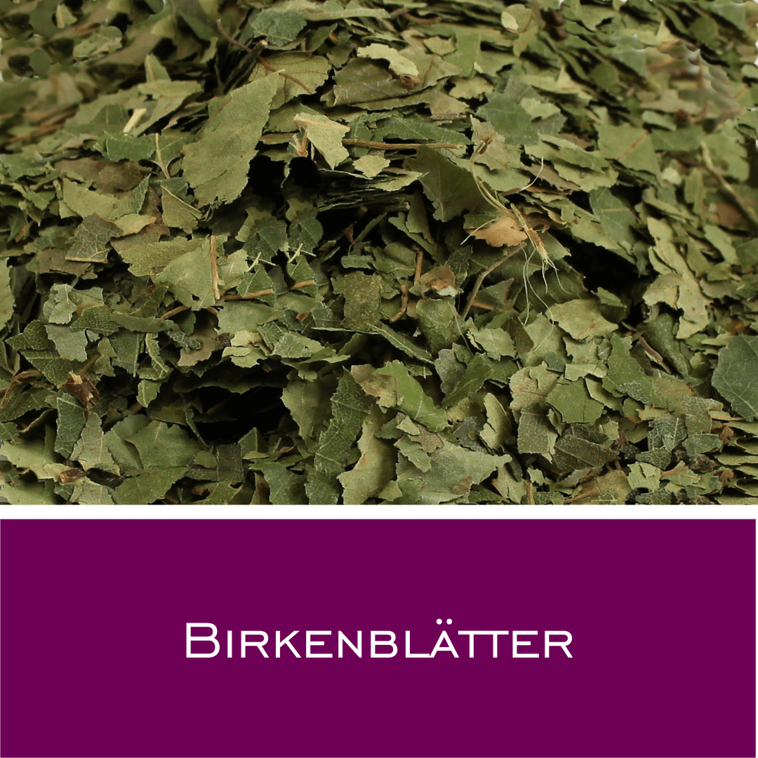 Birkenblätter - HorseHealthEssentials