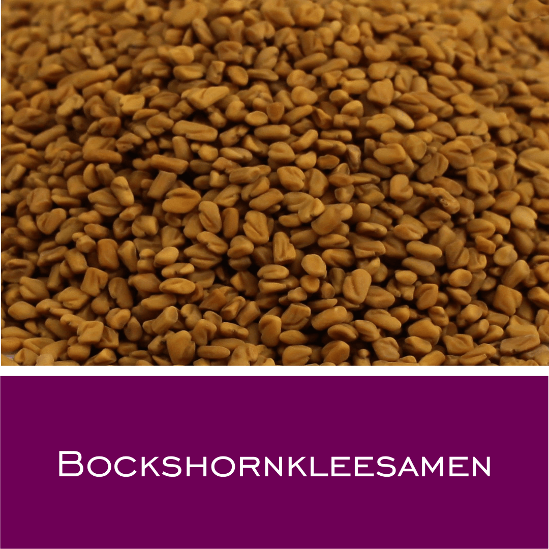 Bockshornkleesamen - HorseHealthEssentials