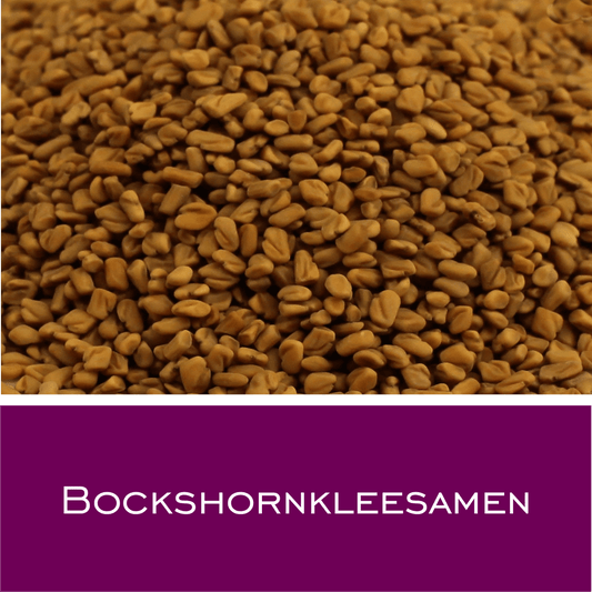 Bockshornkleesamen - HorseHealthEssentials