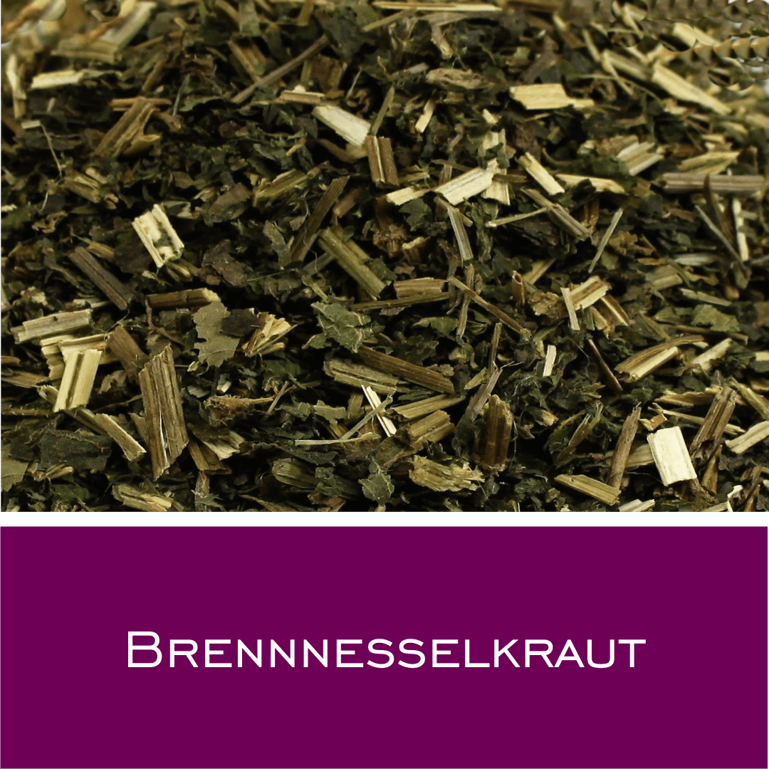 Brennesselkraut - HorseHealthEssentials