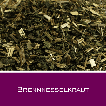 Brennesselkraut - HorseHealthEssentials