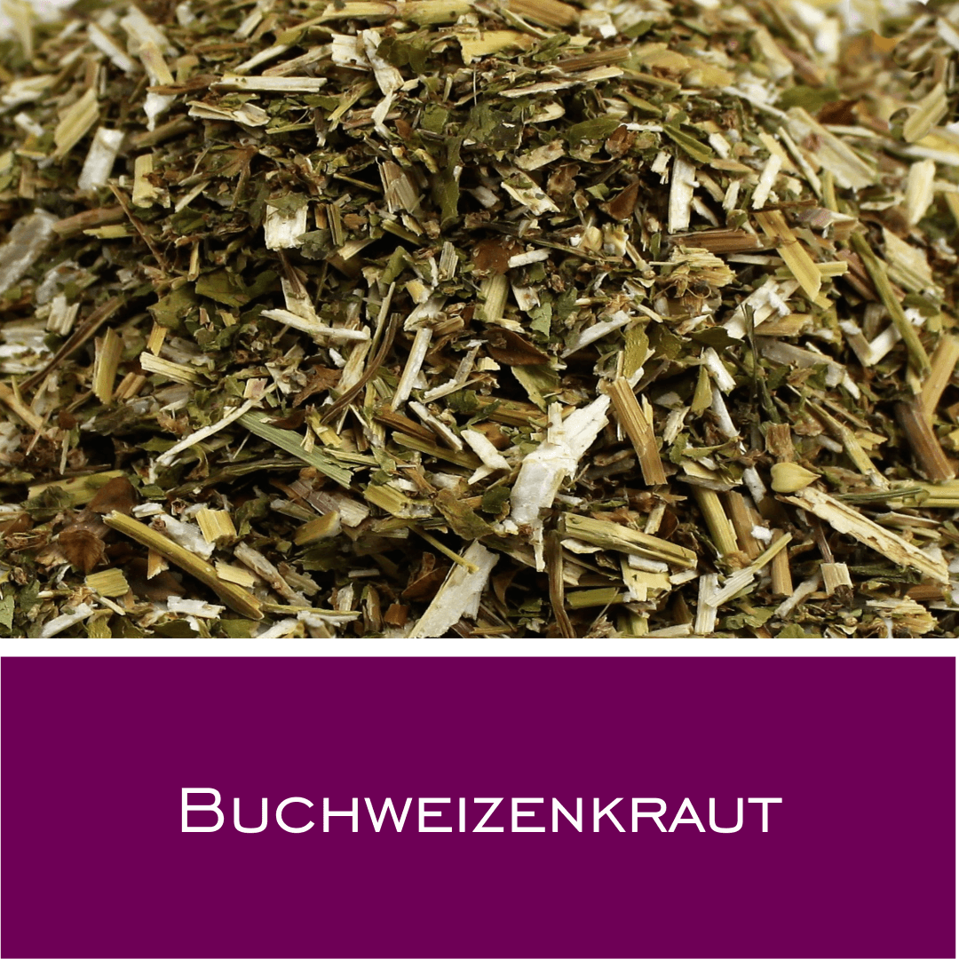 Buchweizenkraut - HorseHealthEssentials