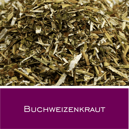 Buchweizenkraut - HorseHealthEssentials