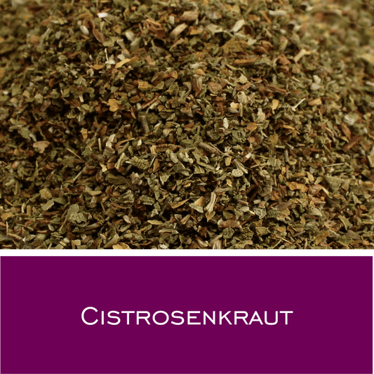 Cistrosenkraut - HorseHealthEssentials