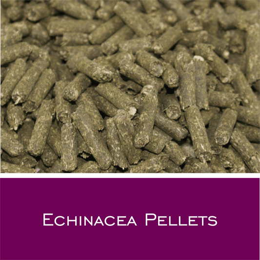 Ecinacea Pellets - HorseHealthEssentials