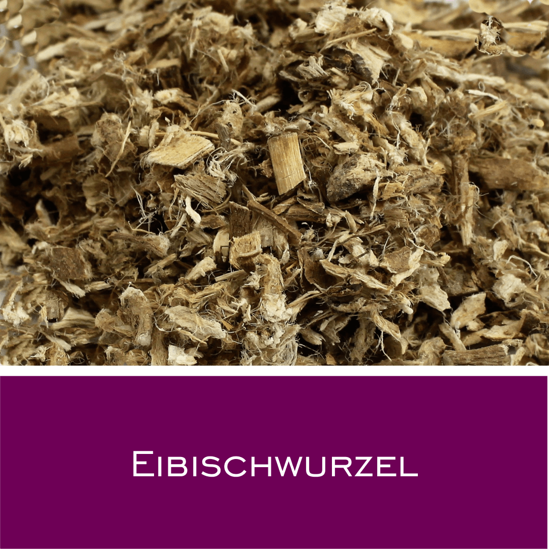 Eibischwurzel - HorseHealthEssentials