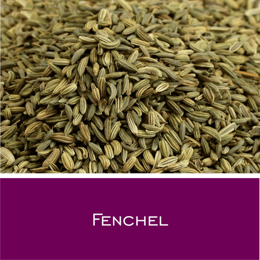 Fenchel - HorseHealthEssentials