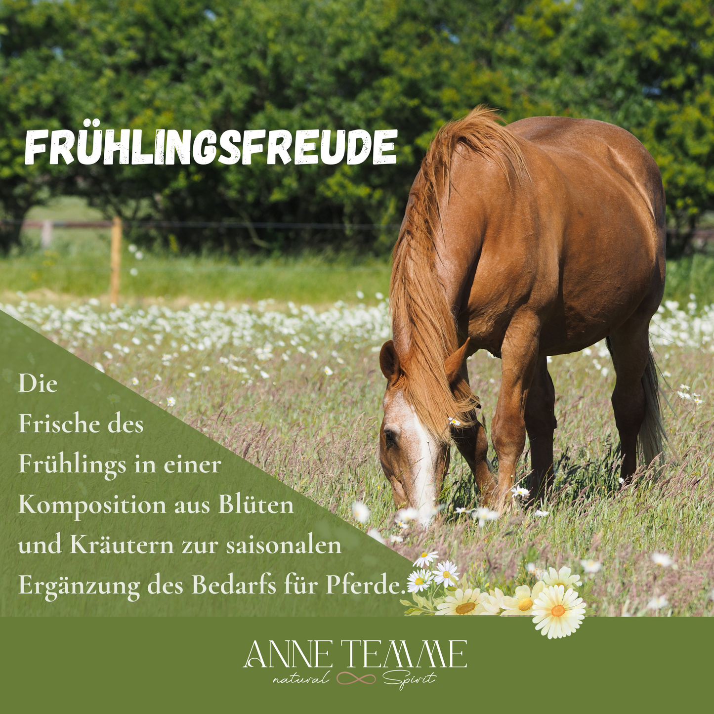 Frühlingsfreude