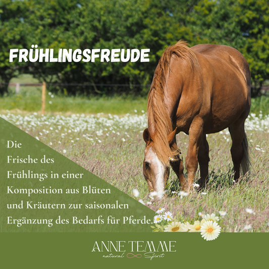 Frühlingsfreude