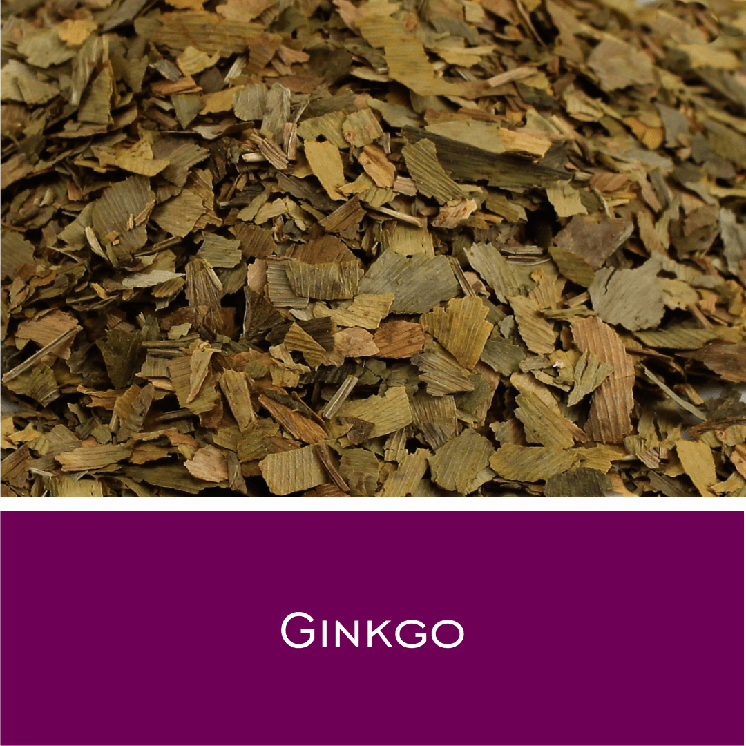 Ginko - HorseHealthEssentials