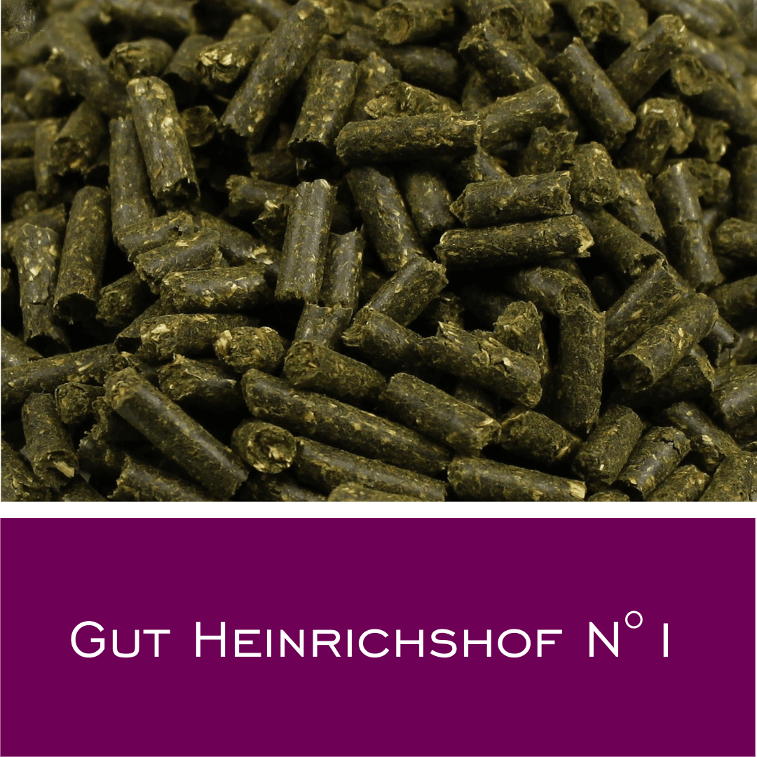 Gut Heinrichshof N1 - HorseHealthEssentials