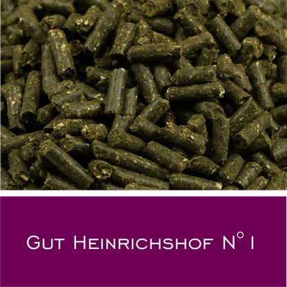 Gut Heinrichshof N1 - HorseHealthEssentials