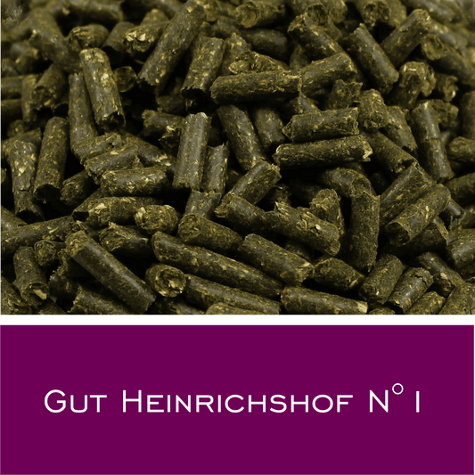 Gut Heinrichshof N1 - HorseHealthEssentials