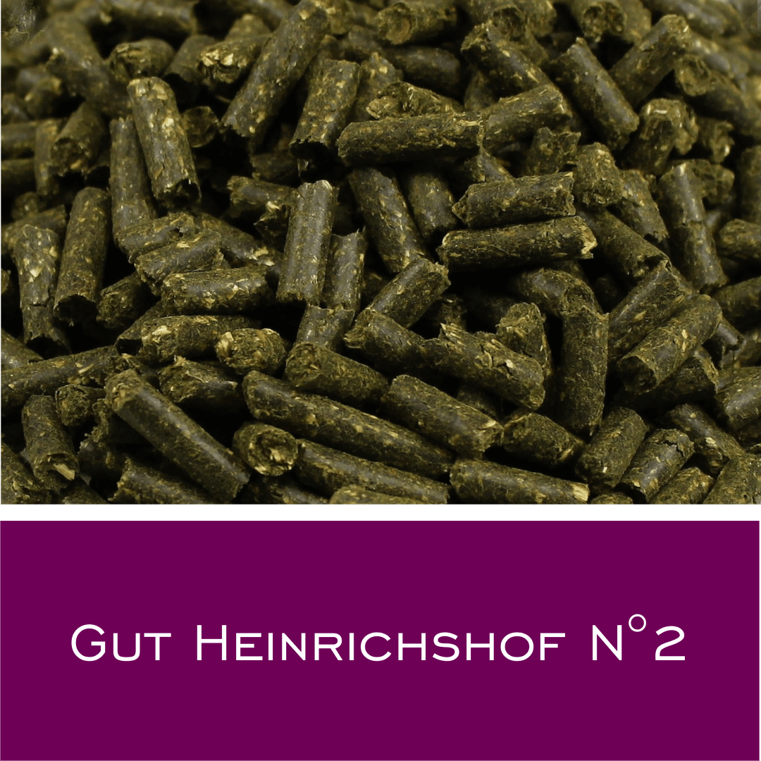 Gut Heinrichshof N2 - HorseHealthEssentials