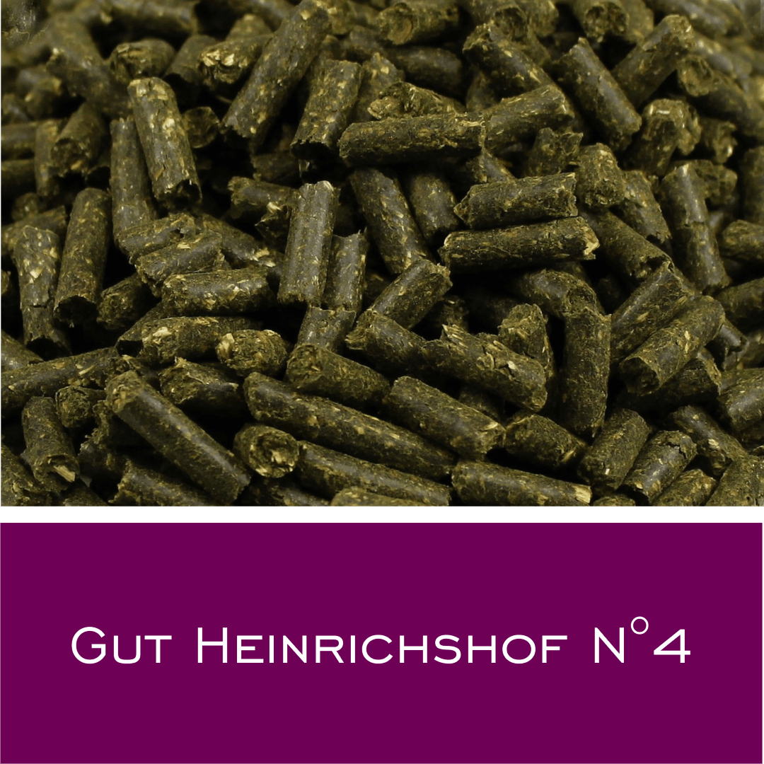 Gut Heinrichshof N4 - HorseHealthEssentials