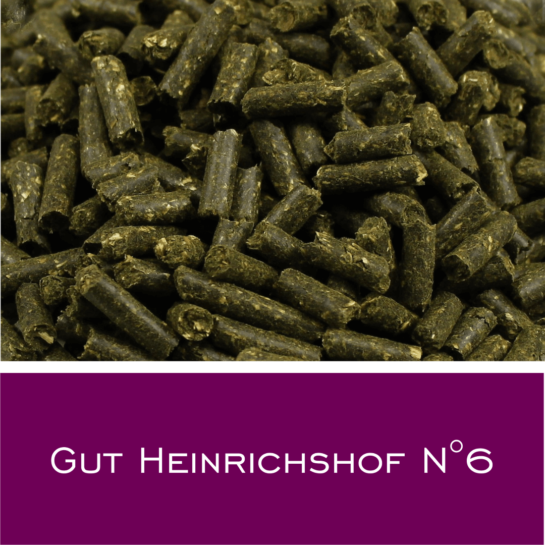 Gut Heinrichshof N6 - HorseHealthEssentials