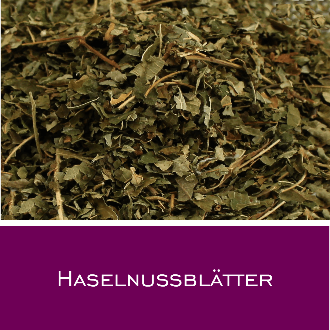 Haselnussblätter - HorseHealthEssentials