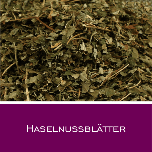 Haselnussblätter - HorseHealthEssentials