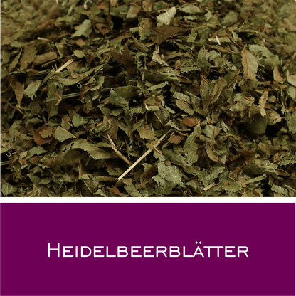 Heidelbeerblätter - HorseHealthEssentials