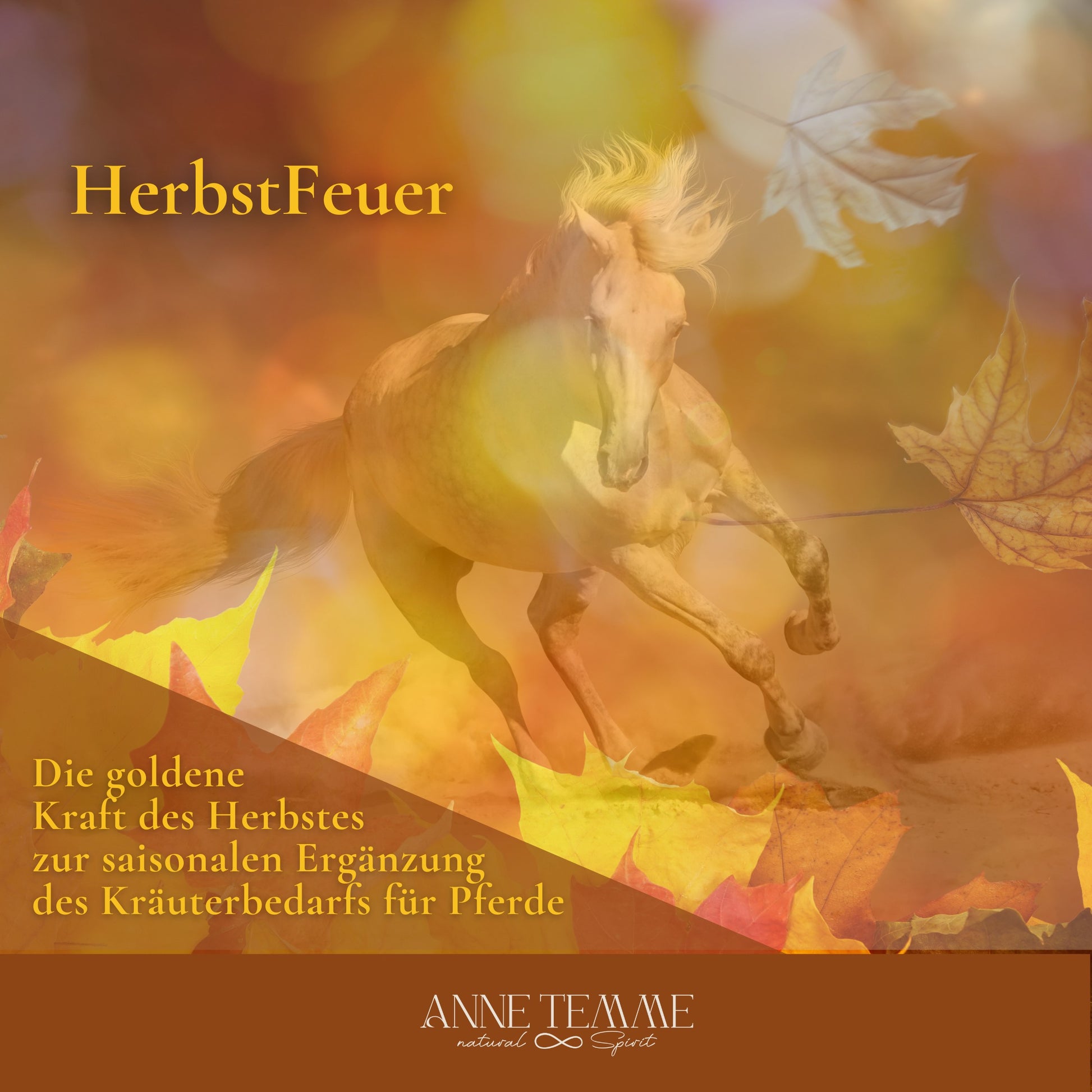 Herbstfeuer - HorseHealthEssentials