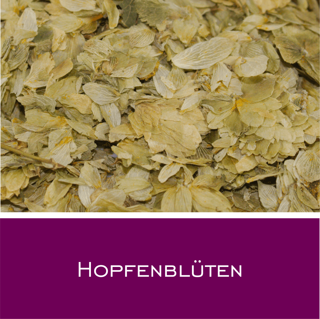 Hopfenblüten - HorseHealthEssentials