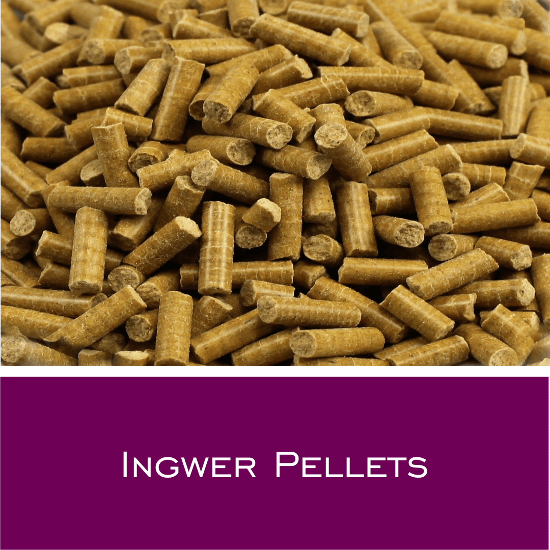 Ingwer Pellets - HorseHealthEssentials