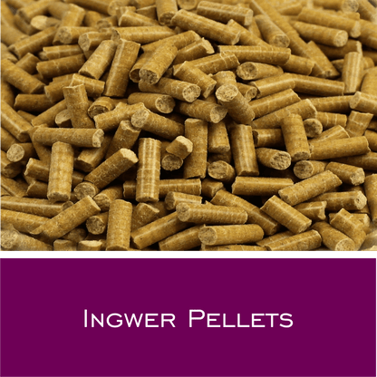 Ingwer Pellets - HorseHealthEssentials