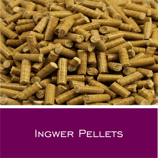 Ingwer Pellets - HorseHealthEssentials