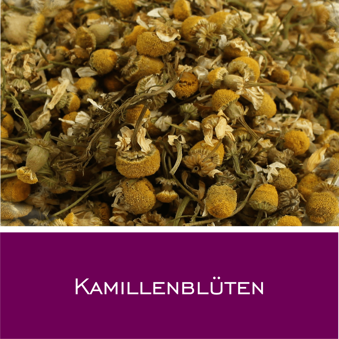 Kamillenblüten - HorseHealthEssentials